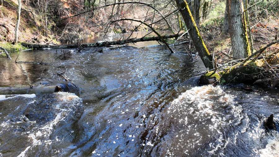 N3404 WILDERNESS TRL. BLACK RIVER FALLS, WI | 17 ACRES WITH CAMPER