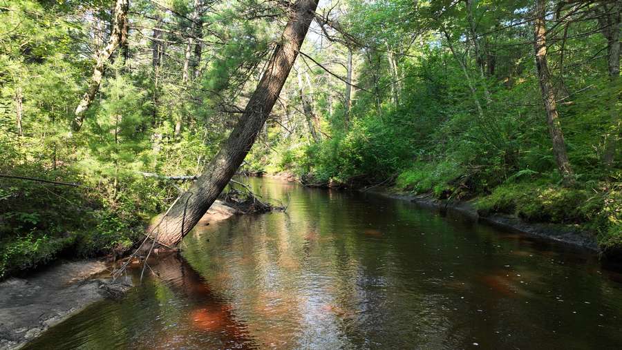 XX Wilderness Trail Black River Falls, WI