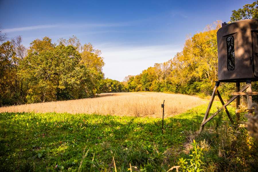 222.6 ACRES SIMON ROAD MONTANA RIDGE- BUFFALO COUNTY WI