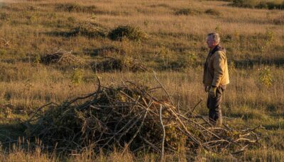 Managing Invasive Species on Wisconsin Property: A Landowner’s Guide